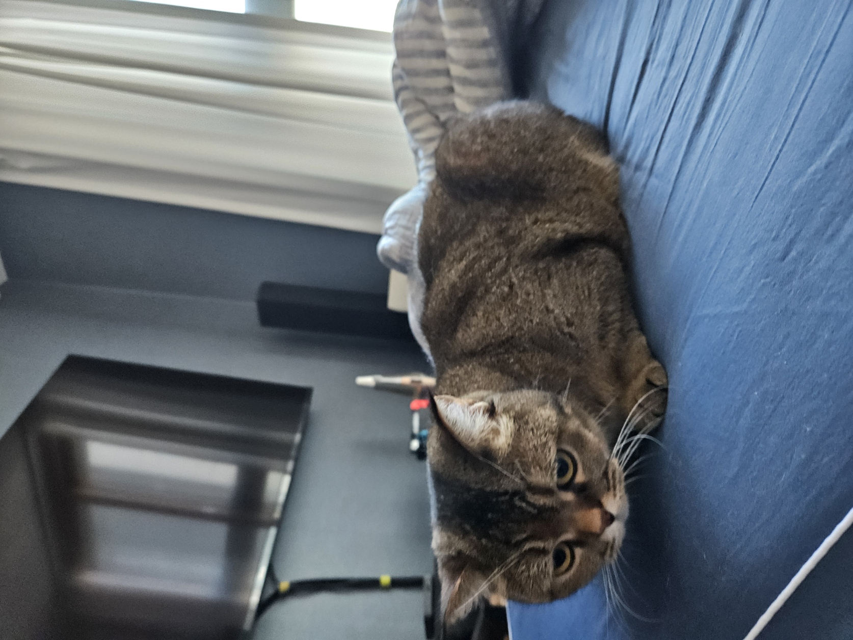 ㅁㄴㅇㄻㄴㅇㄻㄴㅇㄹ